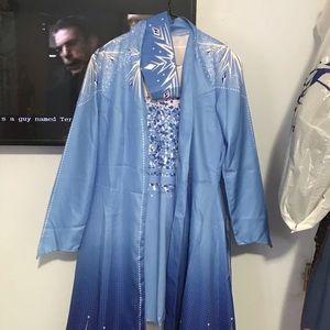 Frozen 2 Elsa costume